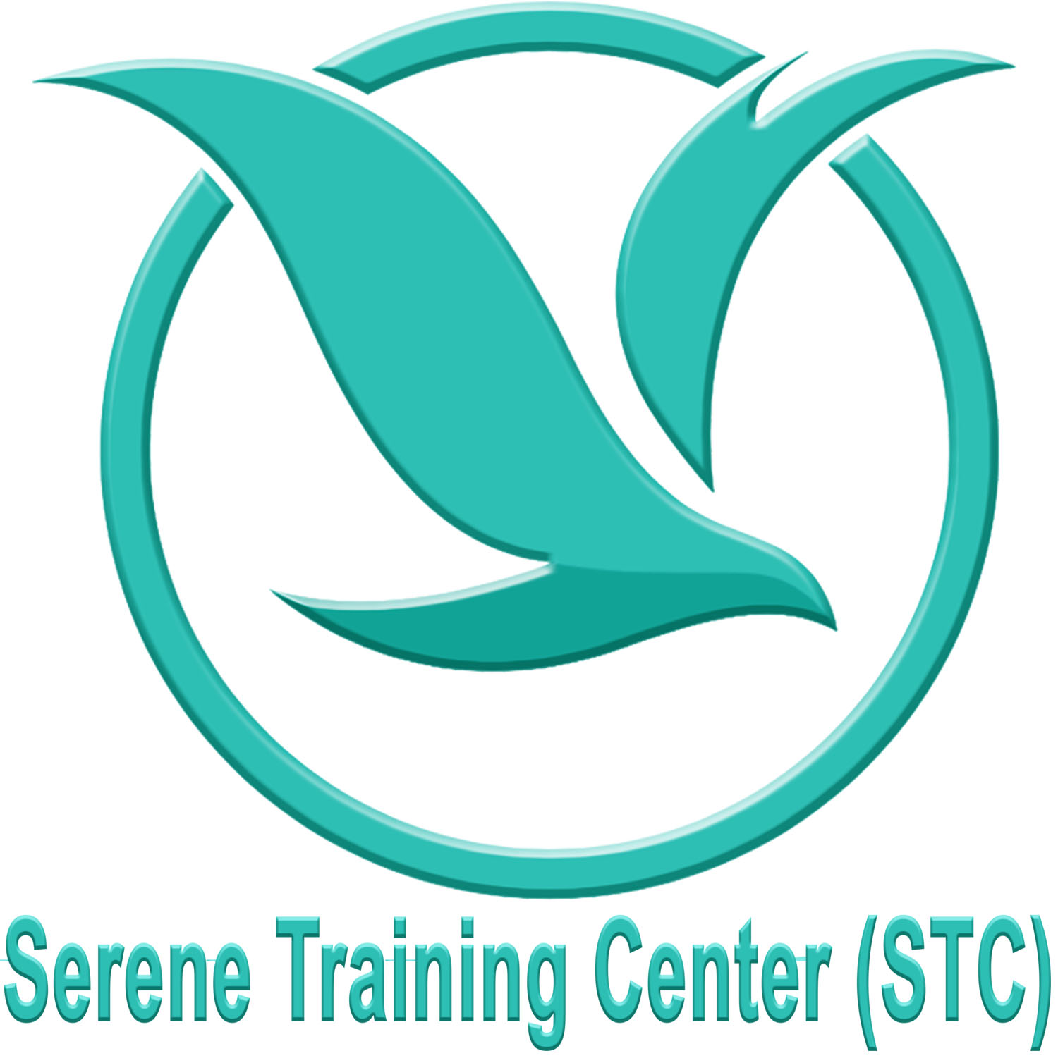 SERENE ENGINEERING SERVICES